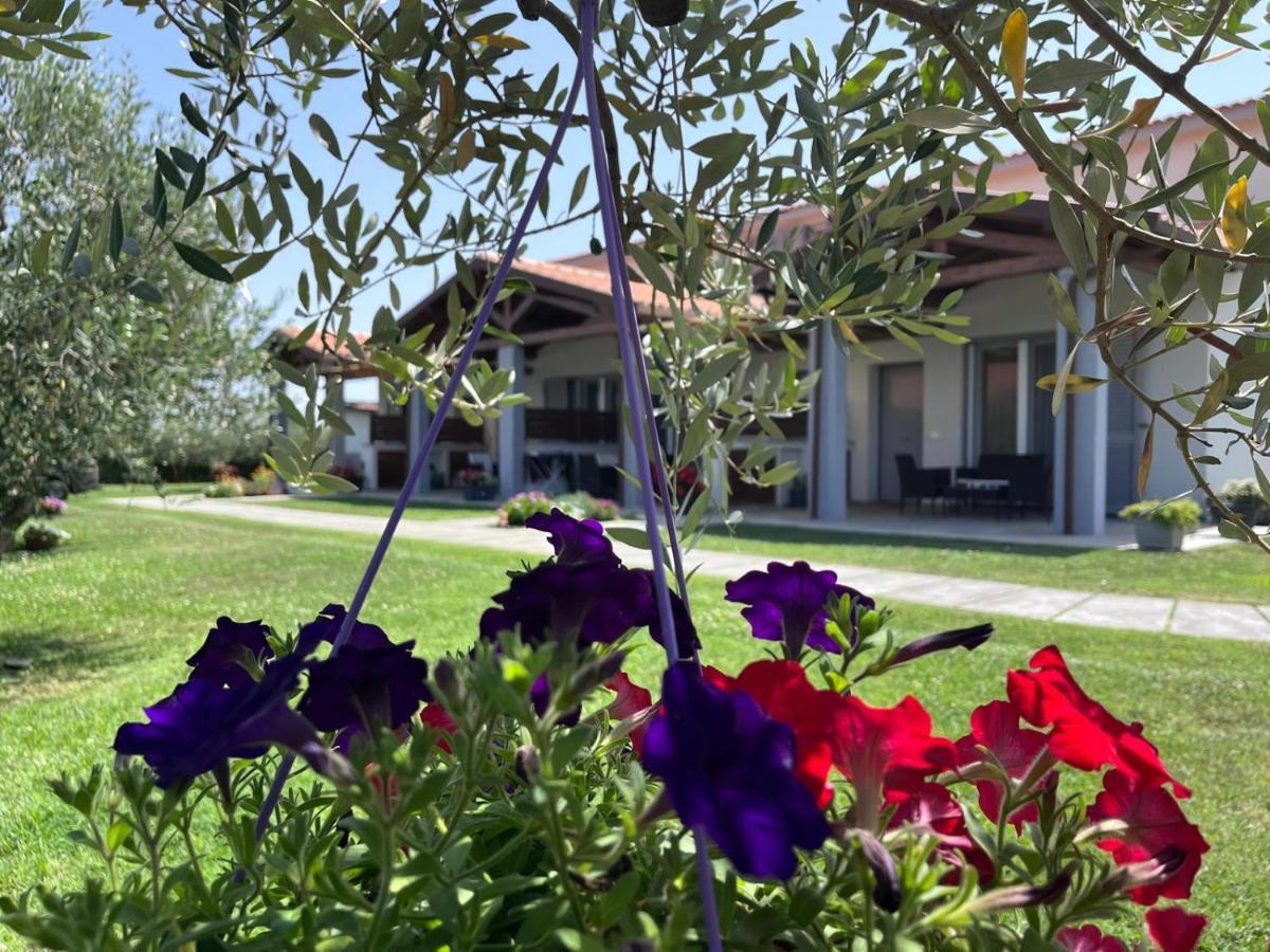 Residence La Pace - Pool & Relax Marina di Grosseto Extérieur photo