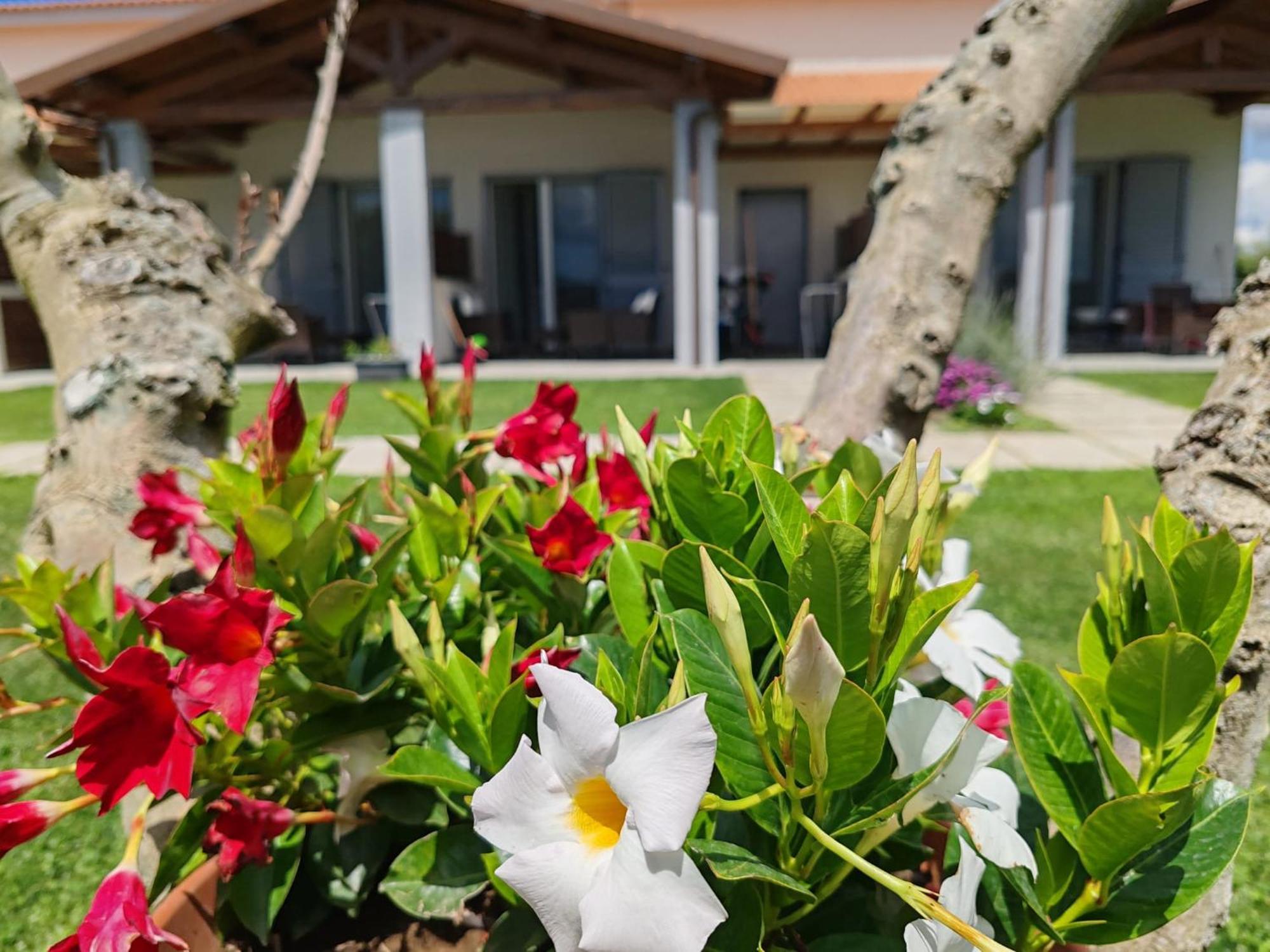 Residence La Pace - Pool & Relax Marina di Grosseto Extérieur photo
